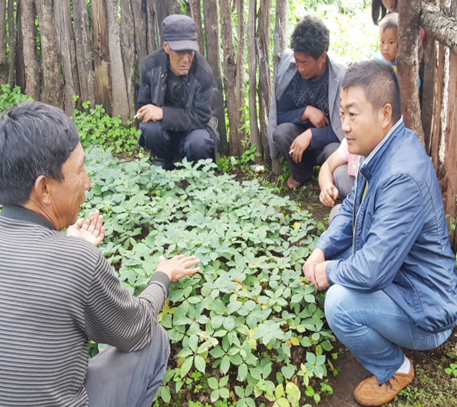 云南寶田農業(yè)總經理和種植戶交流