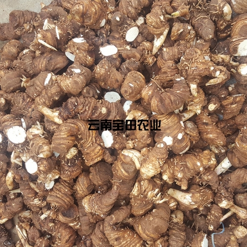 云南寶田農(nóng)業(yè)滇重樓鮮品